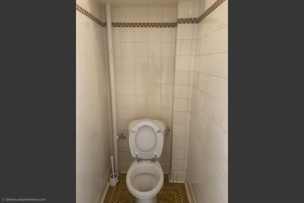 The toilet